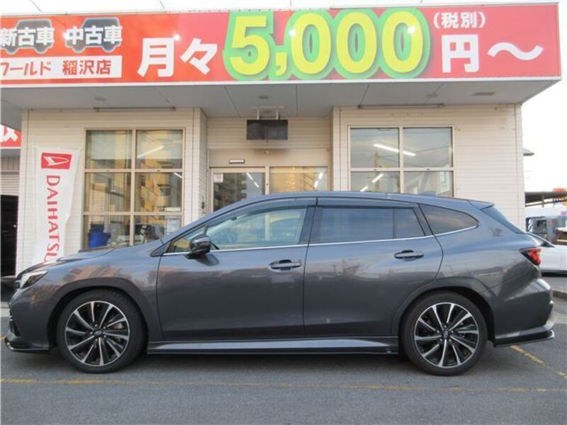 LEVORG