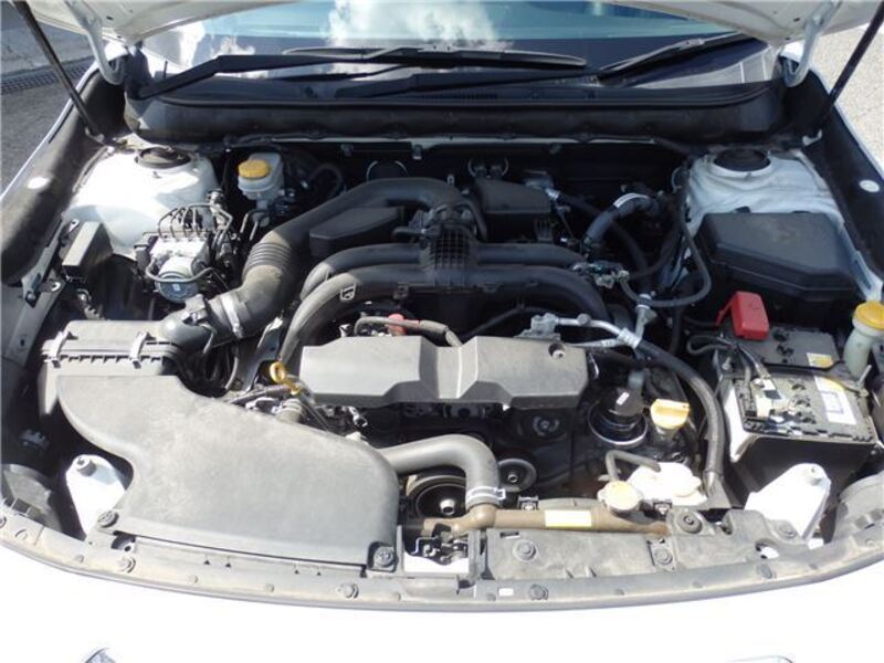 LEGACY B4