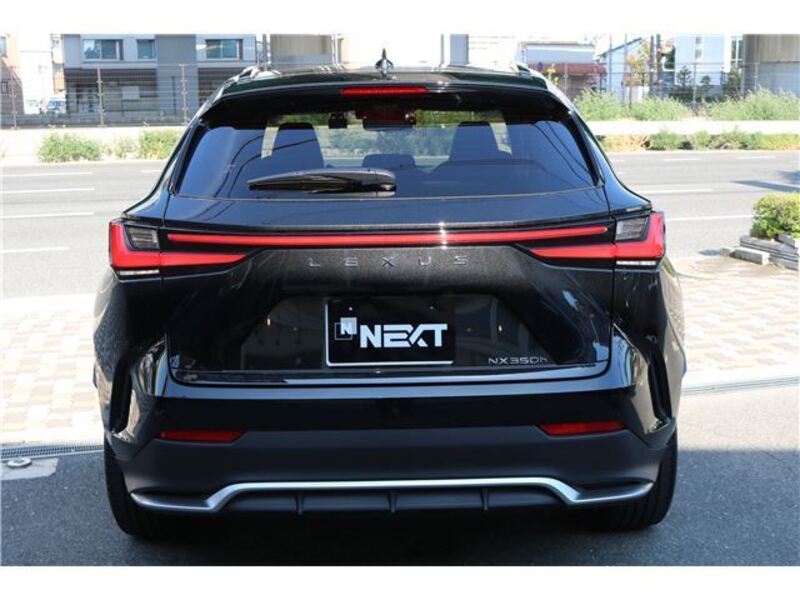 NX