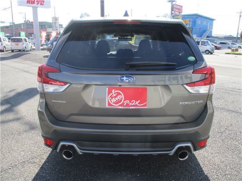 FORESTER