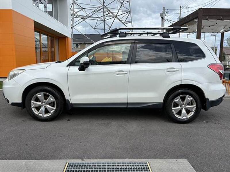 FORESTER