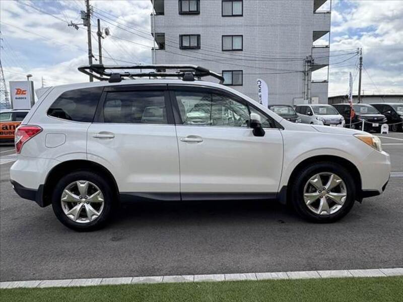 FORESTER