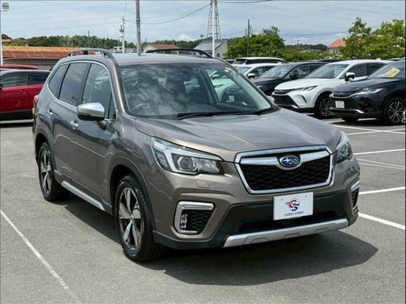 FORESTER