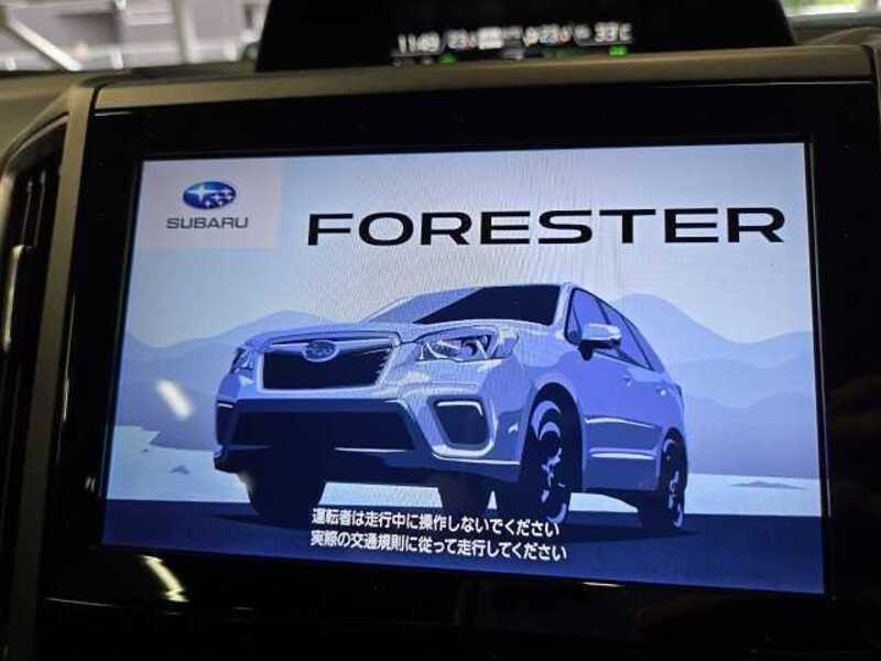 FORESTER