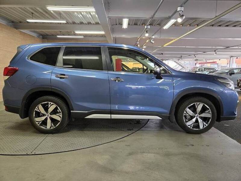 FORESTER