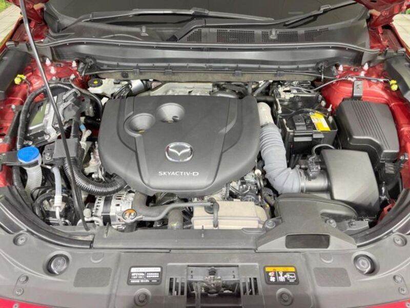CX-8