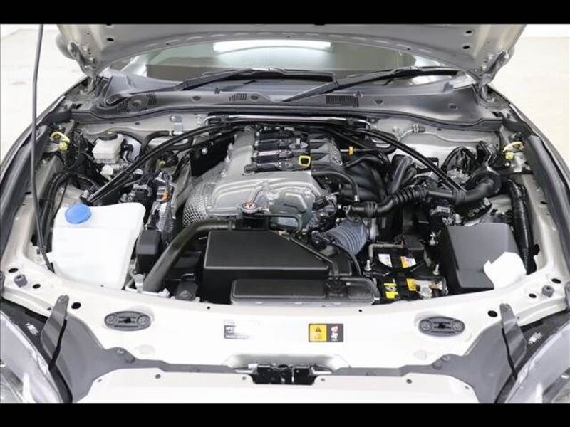 ROADSTER RF