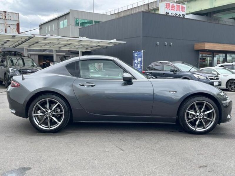 ROADSTER RF