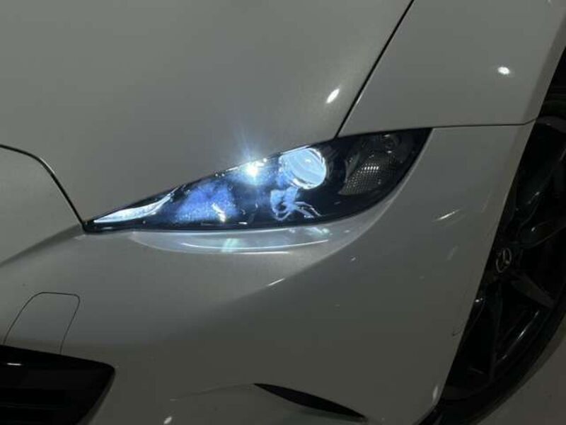 ROADSTER RF