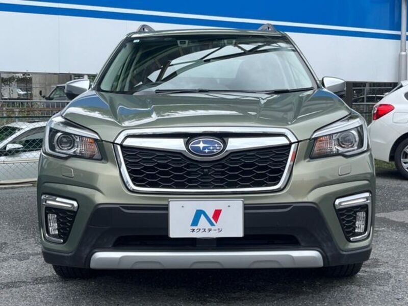 FORESTER
