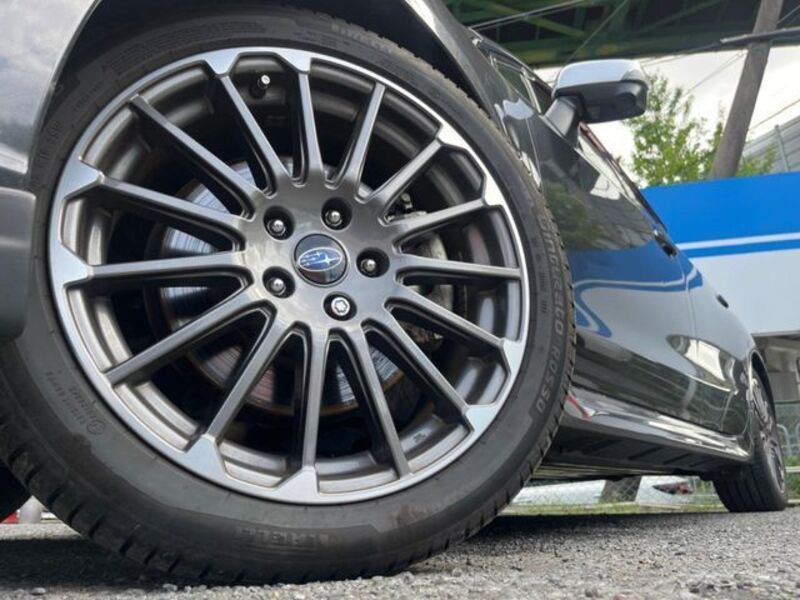 LEVORG