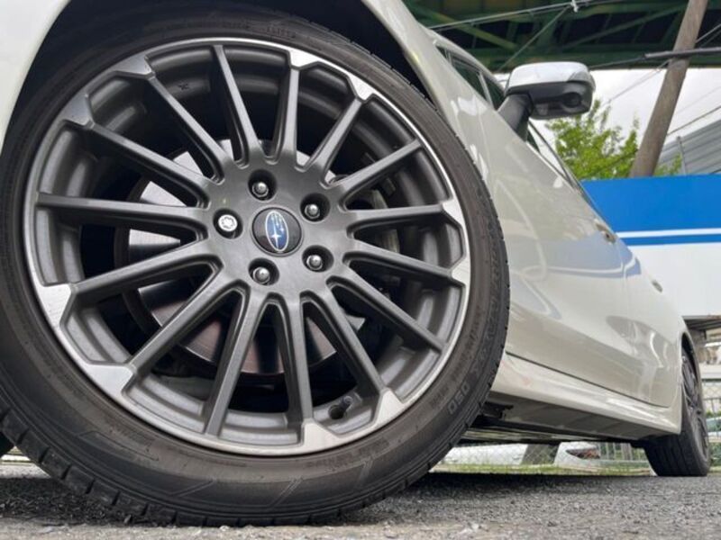 LEVORG