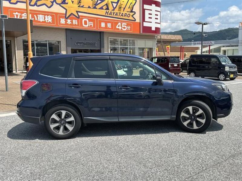 FORESTER