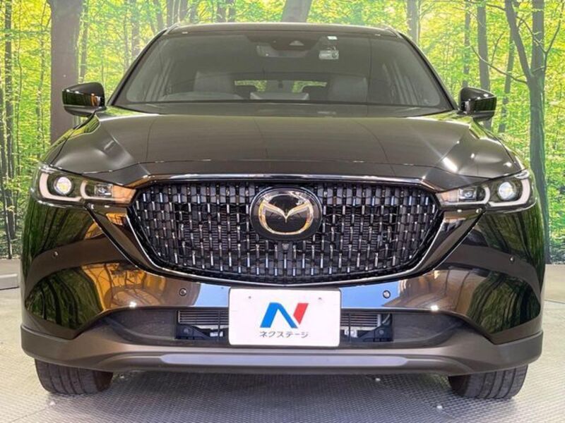 CX-8