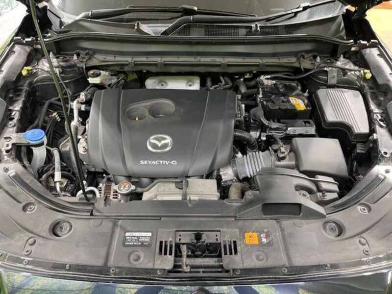 CX-8