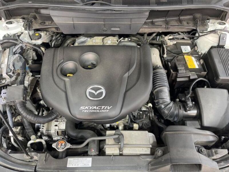 CX-8