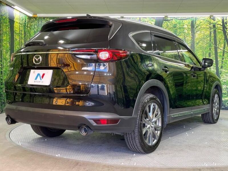 CX-8
