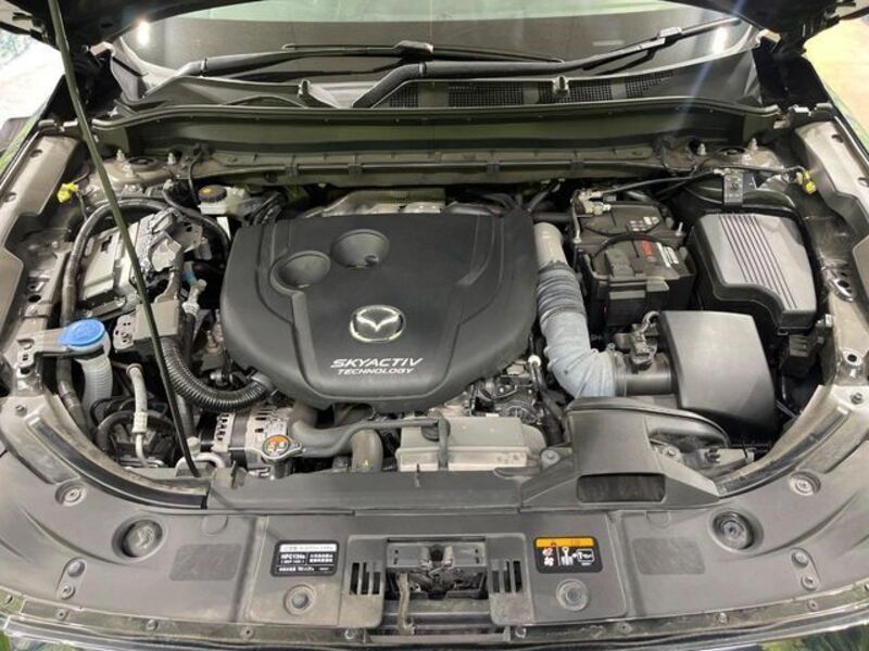 CX-8