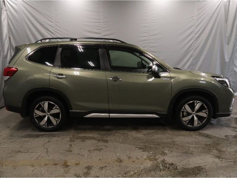 FORESTER