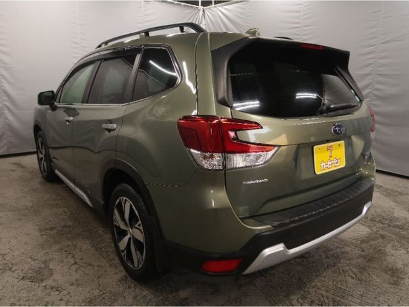 FORESTER