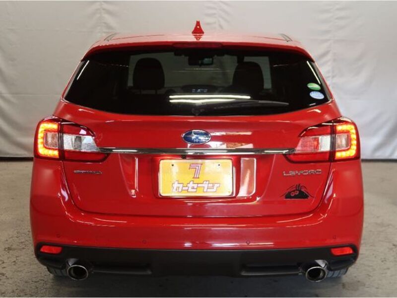 LEVORG