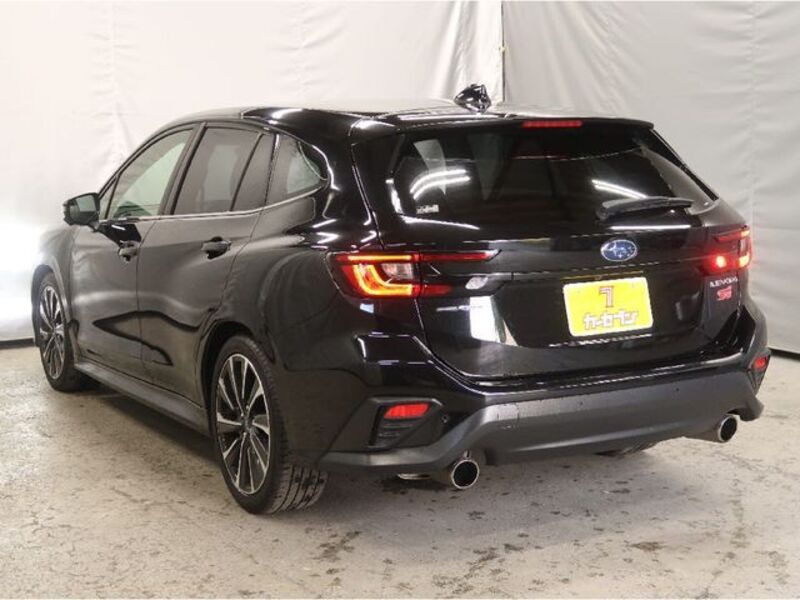LEVORG