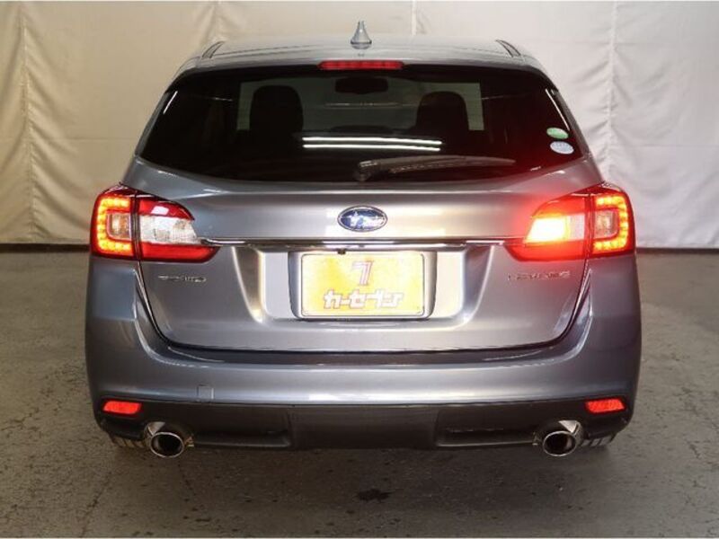 LEVORG