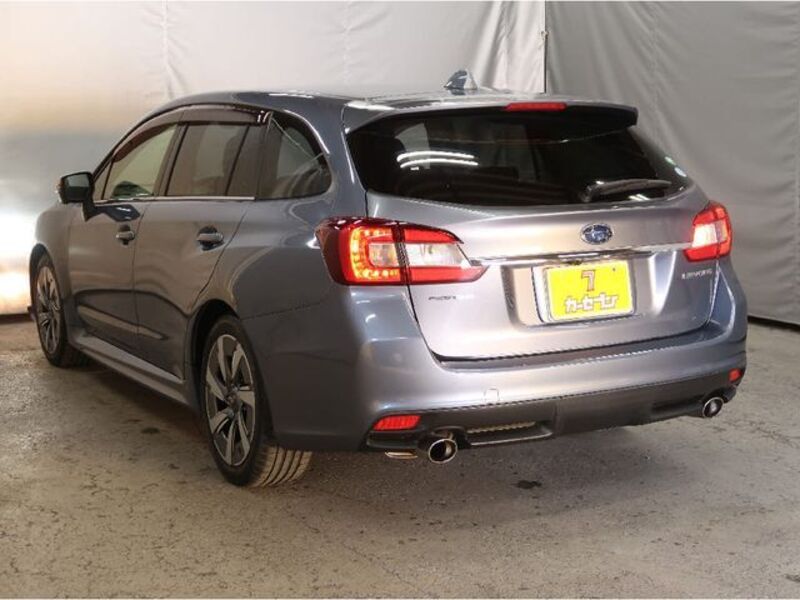 LEVORG