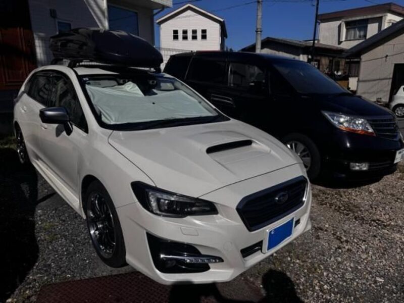 LEVORG-0