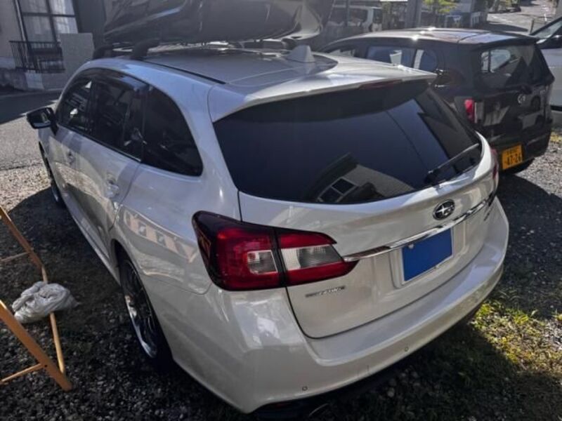 LEVORG
