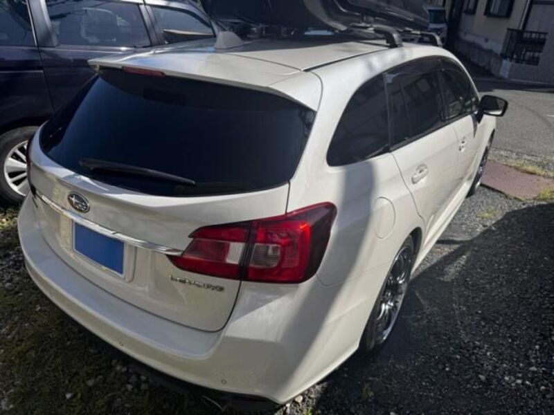 LEVORG