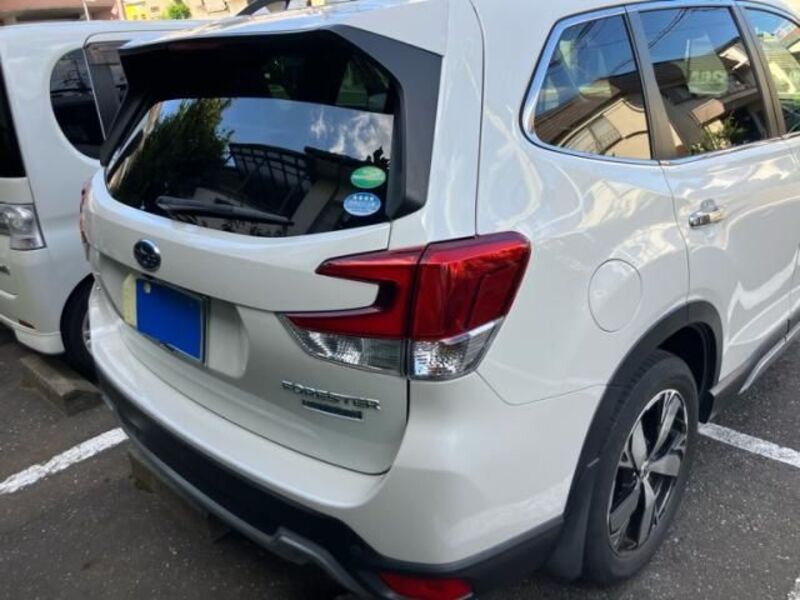 FORESTER