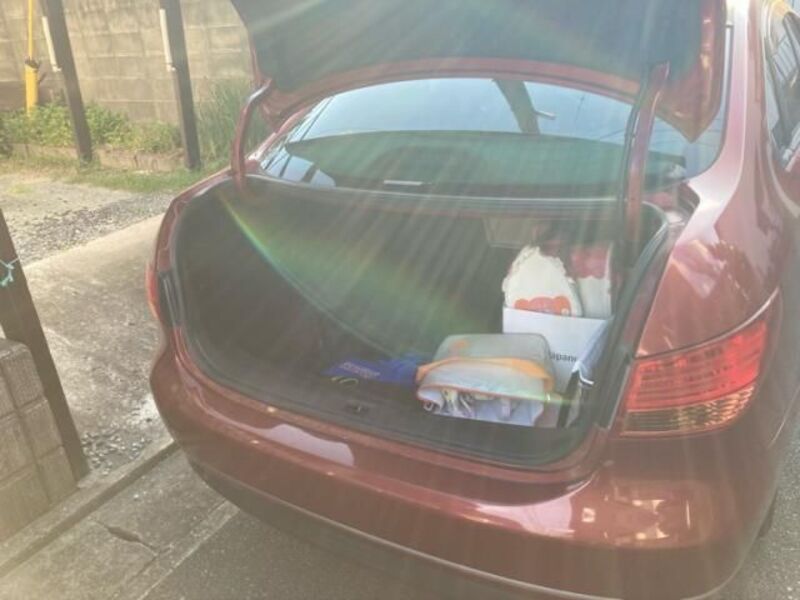 BLUEBIRD SYLPHY