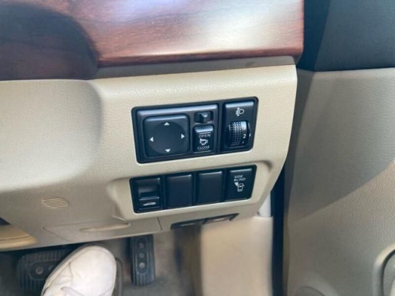 BLUEBIRD SYLPHY