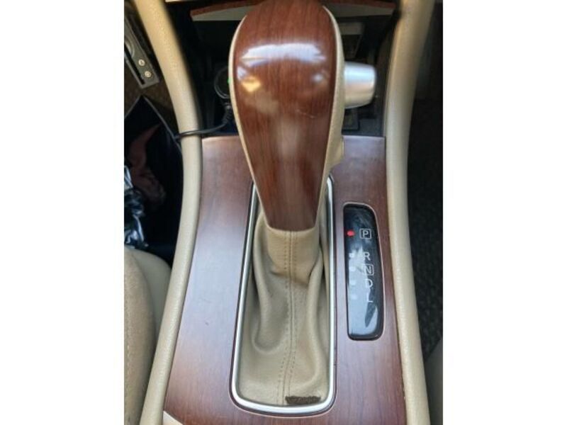 BLUEBIRD SYLPHY