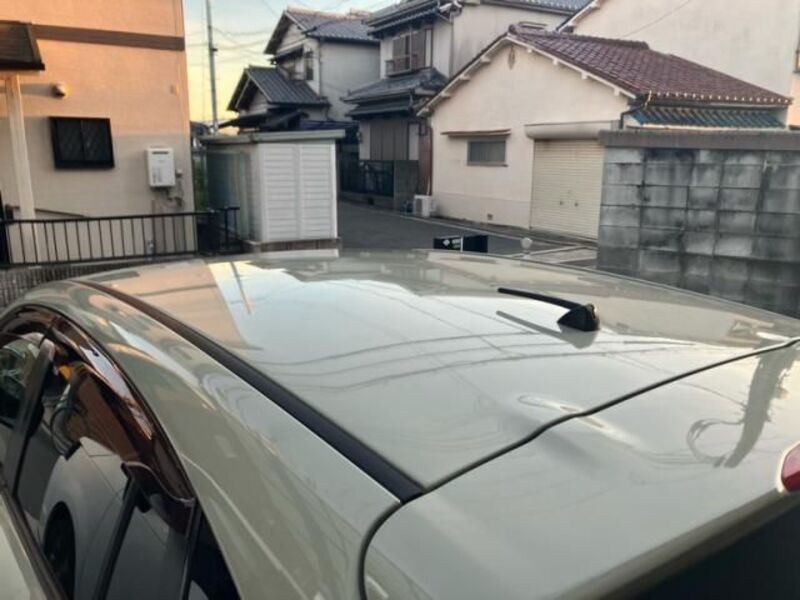 XV