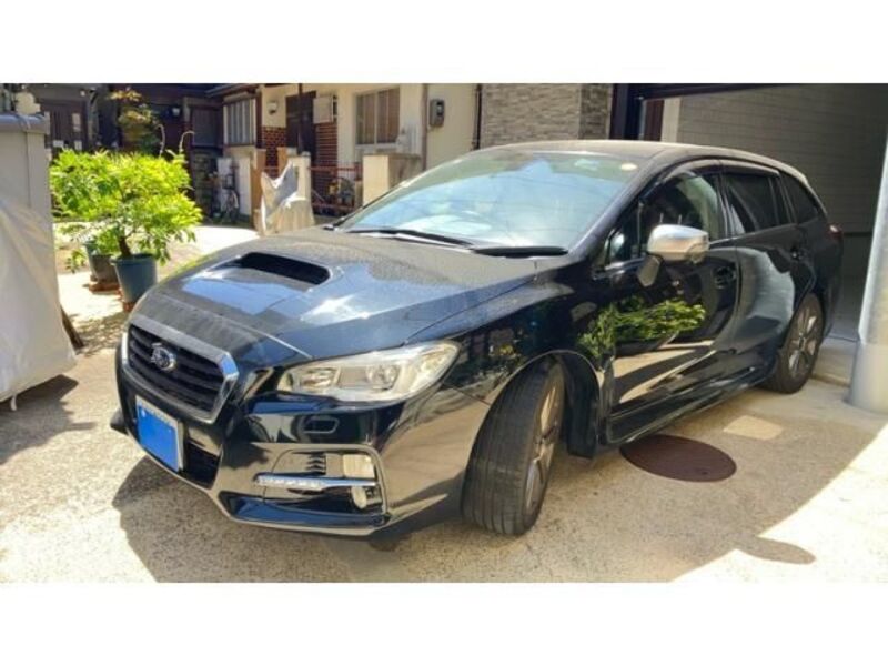 LEVORG-0