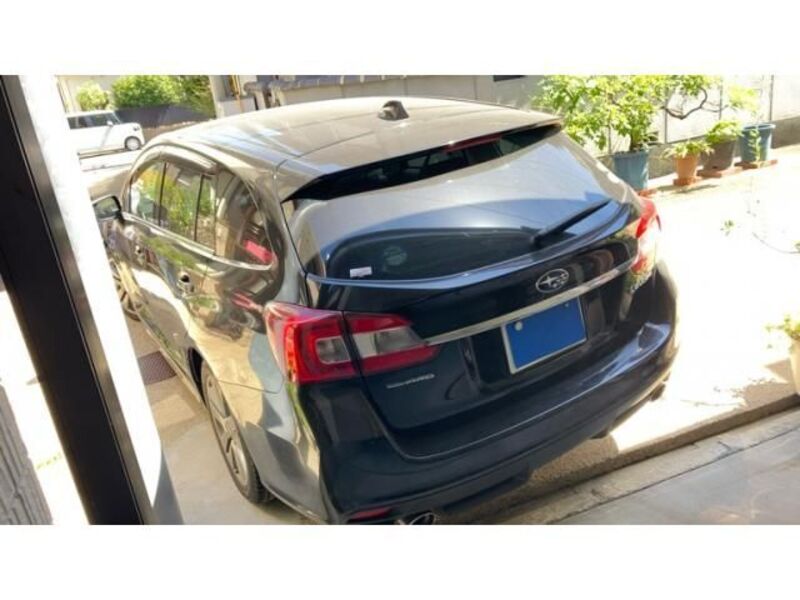 LEVORG