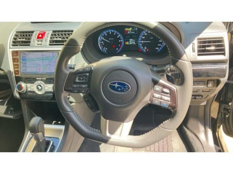 LEVORG