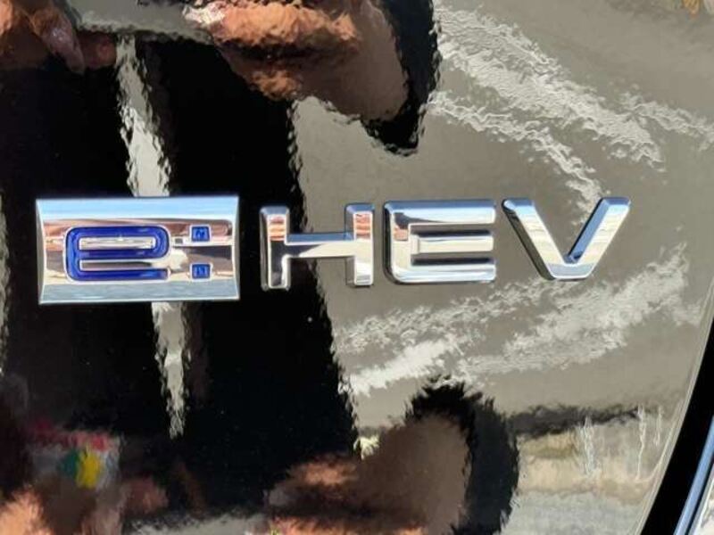 VEZEL