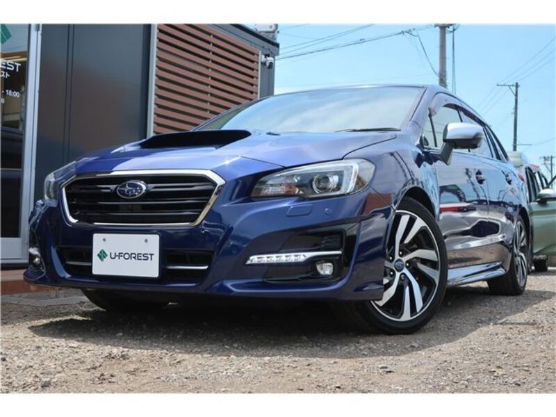 LEVORG-0
