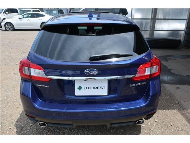 LEVORG