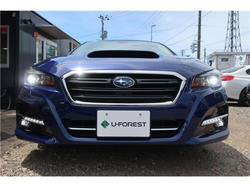 LEVORG