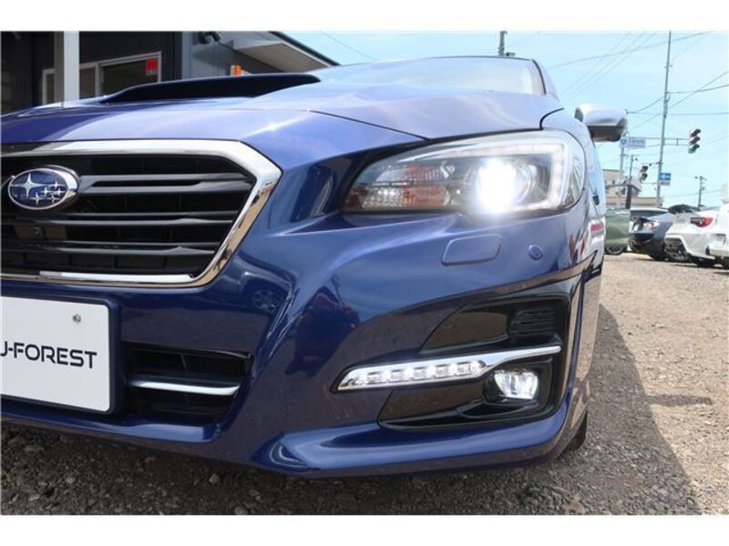 LEVORG