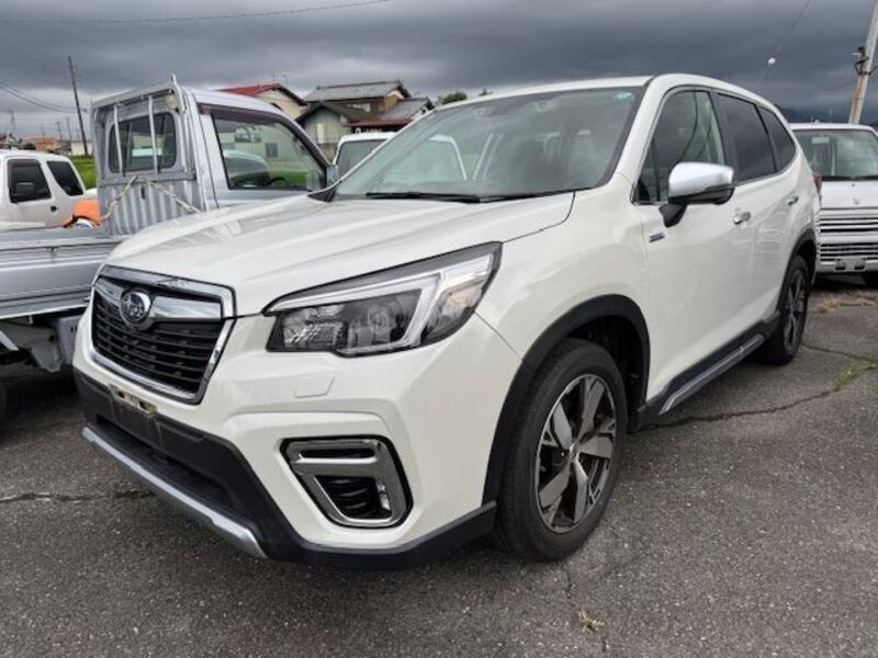 FORESTER-0