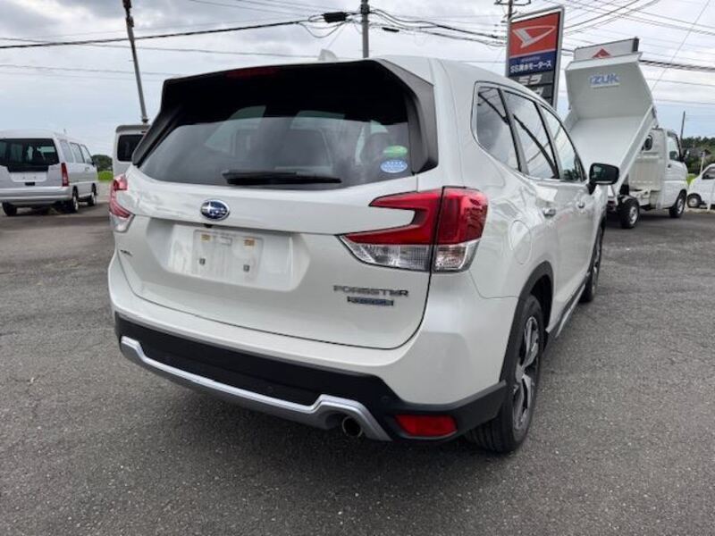 FORESTER