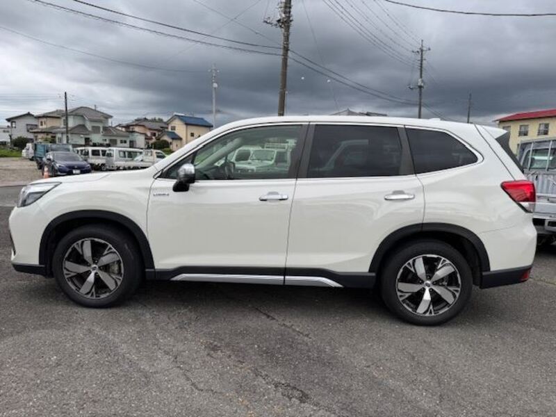 FORESTER