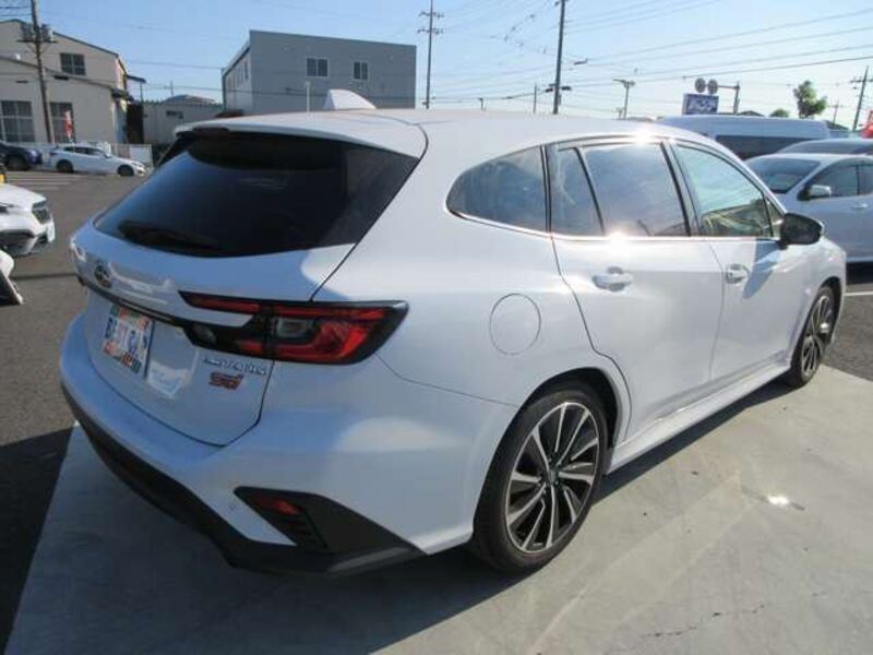 LEVORG
