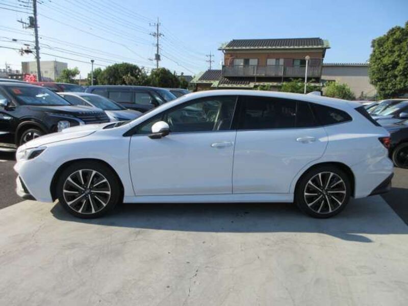 LEVORG
