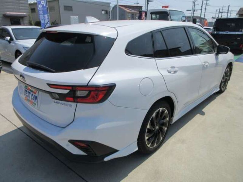 LEVORG